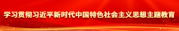 操小逼逼学习贯彻习近平新时代中国特色社会主义思想主题教育